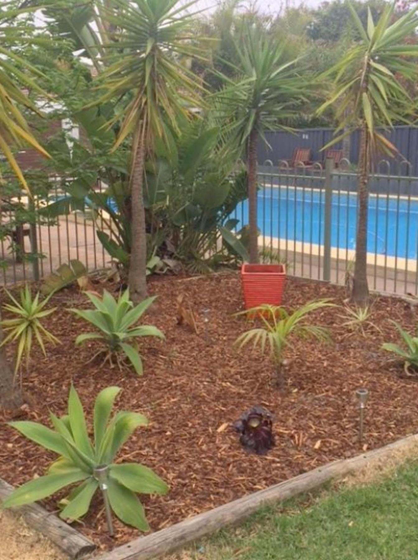 Cronulla Motor Inn Εξωτερικό φωτογραφία